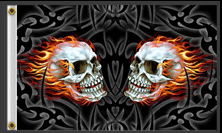 hl two skulls