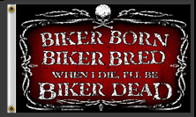 hl biker dead