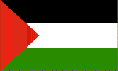 Palestine 2x3ft flag