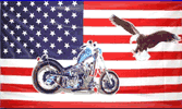 usa motorcycle eagle
