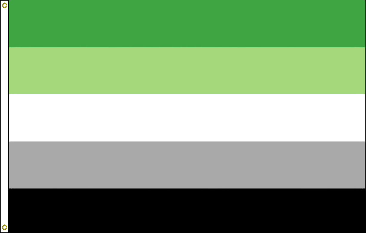 Aromantic Pride 1 aromantic pride