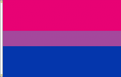 bisexual pride
