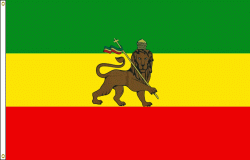 ethiopian with lion