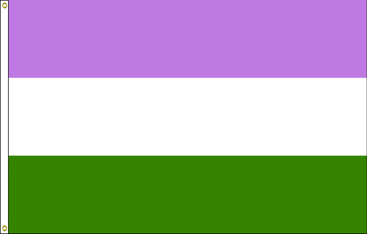 Genderqueer Pride 1 Genderqueer Pride