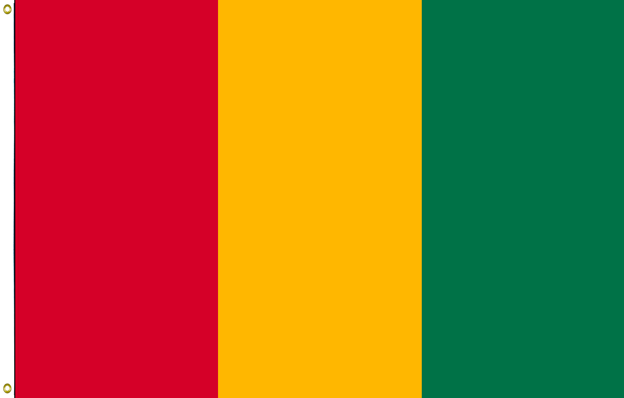 Guinea 1 guinea flag
