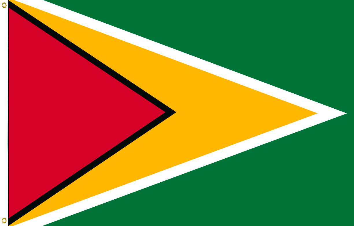 Guyana 1 guyana flag